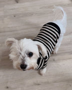 Dog Sweater product image 11