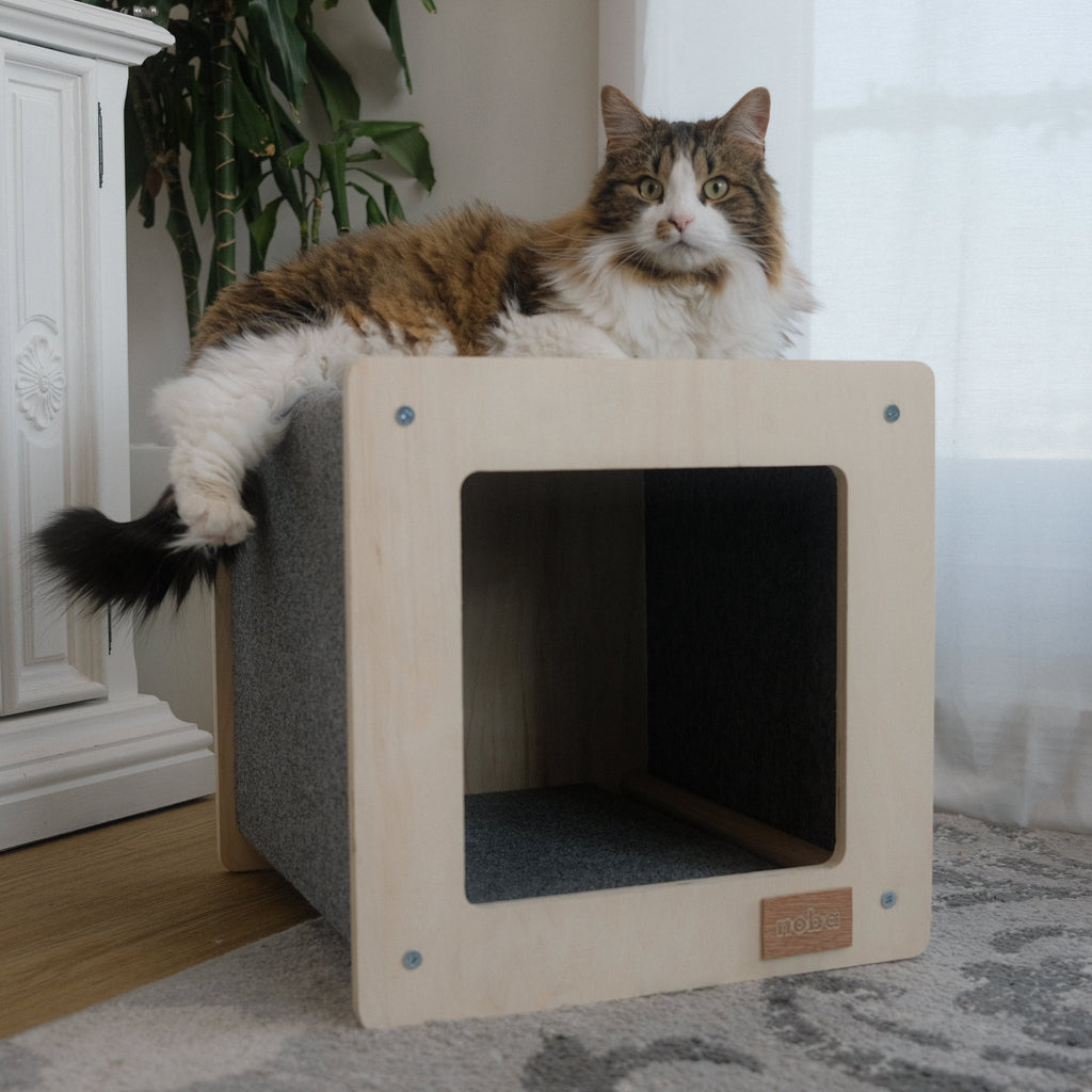 Cat House product image 1