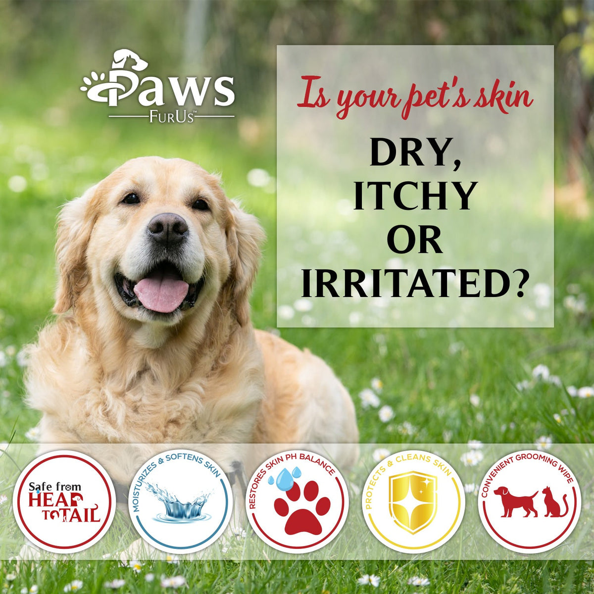 Pet Grooming Wipes product image 4