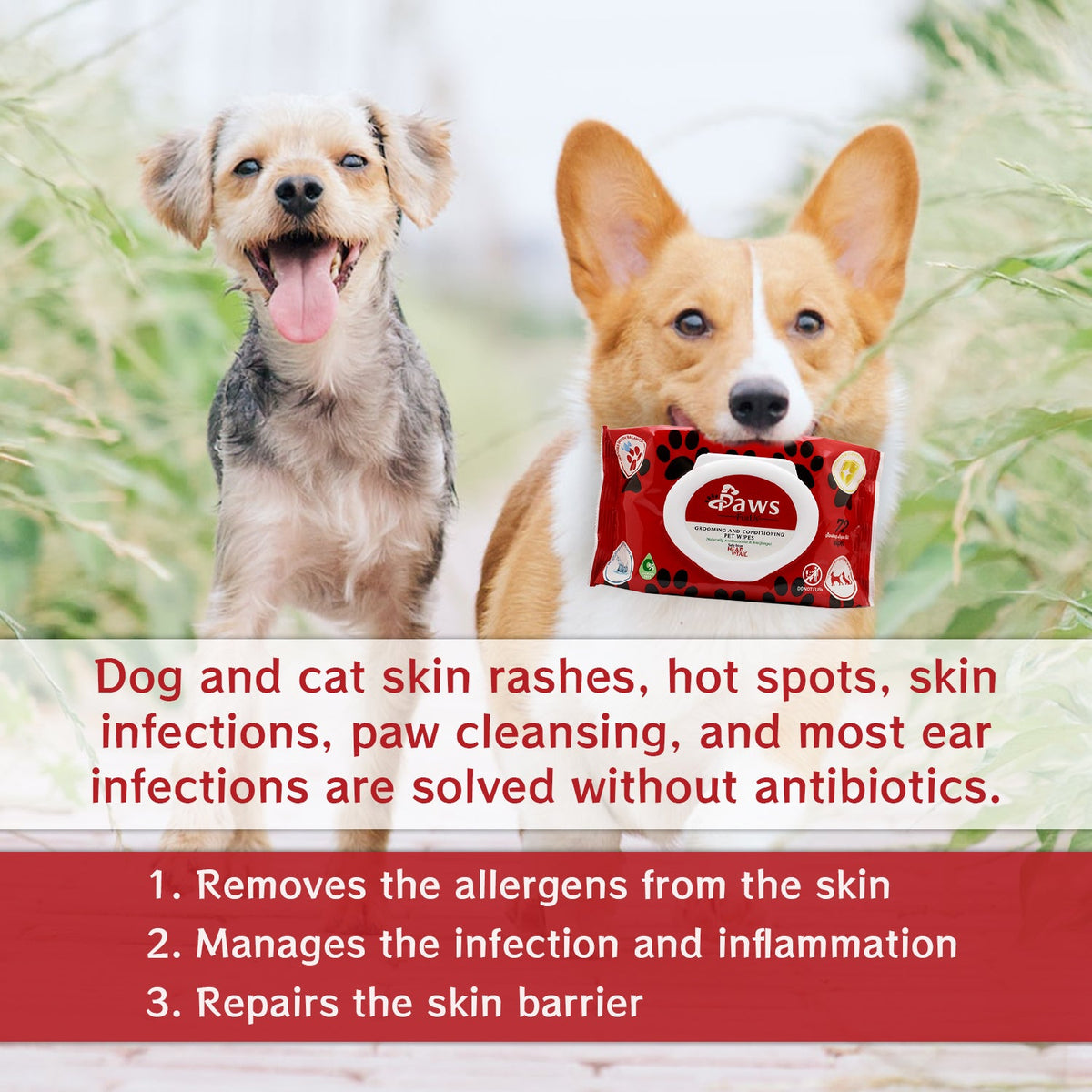 Pet Grooming Wipes product image 5