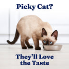 Wet Cat Food product image 5
