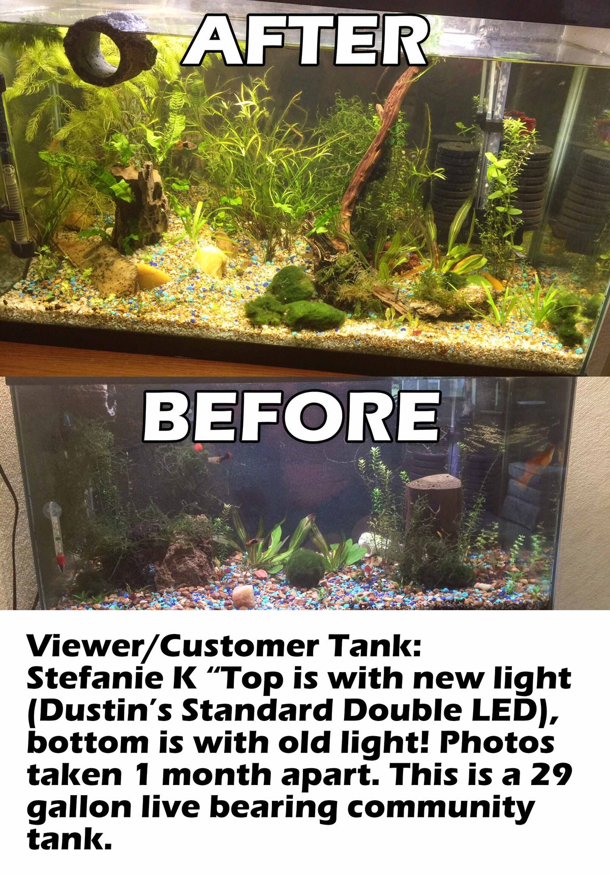 Double-Row Planted Aquarium LED Light product image 28