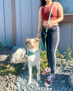 Multi-Way Dog Leash product image 3