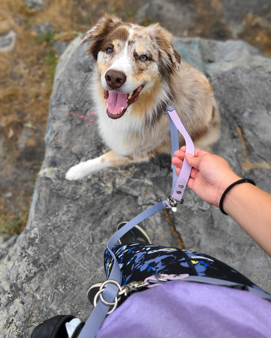 Multi-Way Dog Leash product image 9