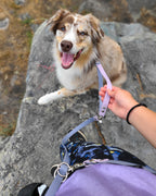 Multi-Way Dog Leash product image 9