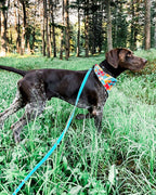 Multi-Way Dog Leash product image 16