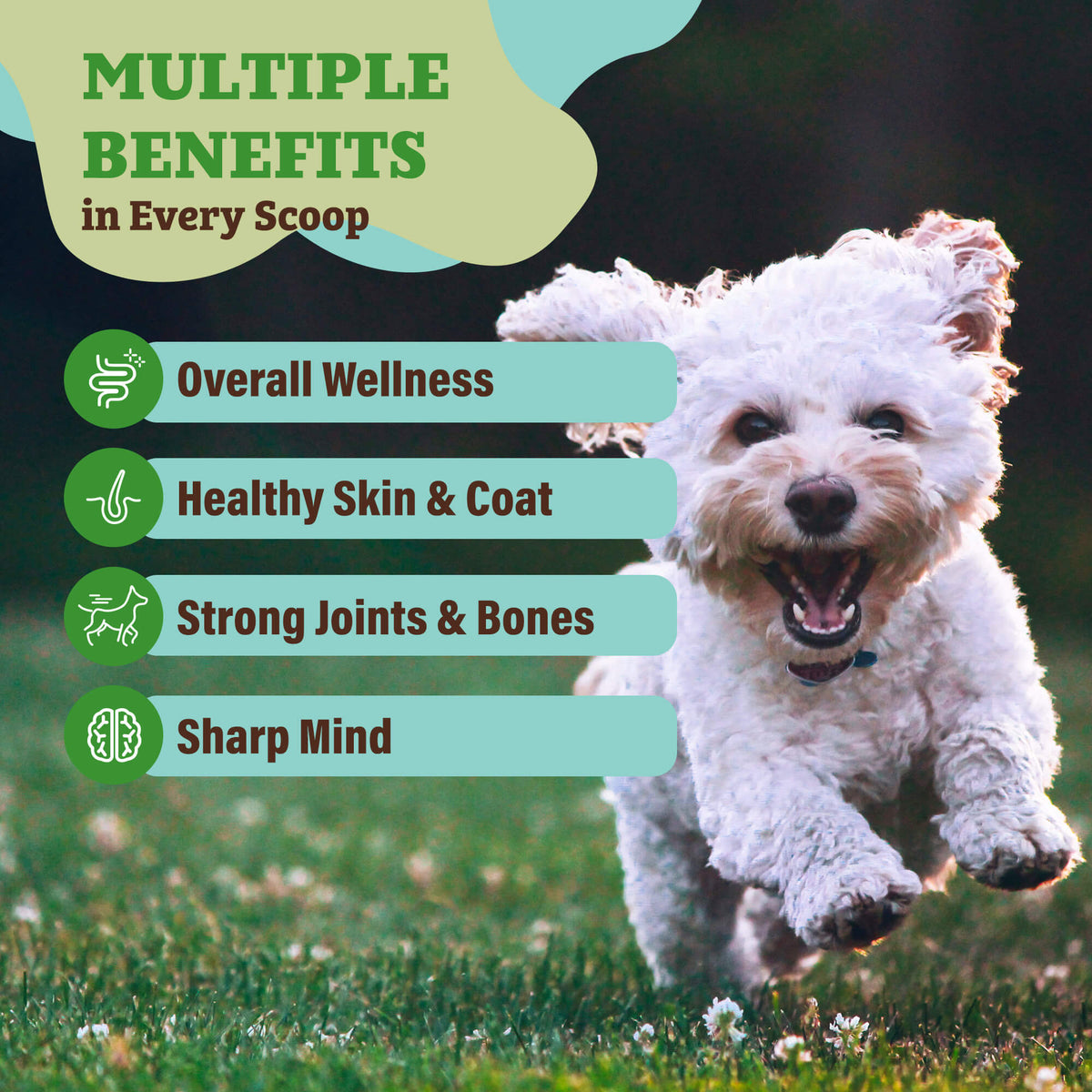 Dog Meal Topper product image 3