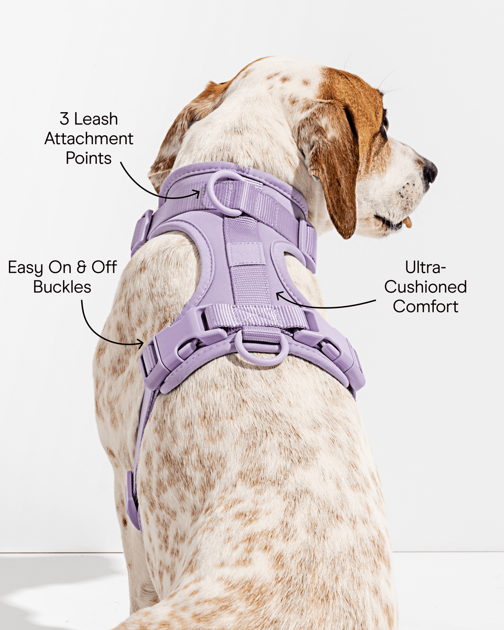 Cushioned No-Pull Dog Harness product image 27