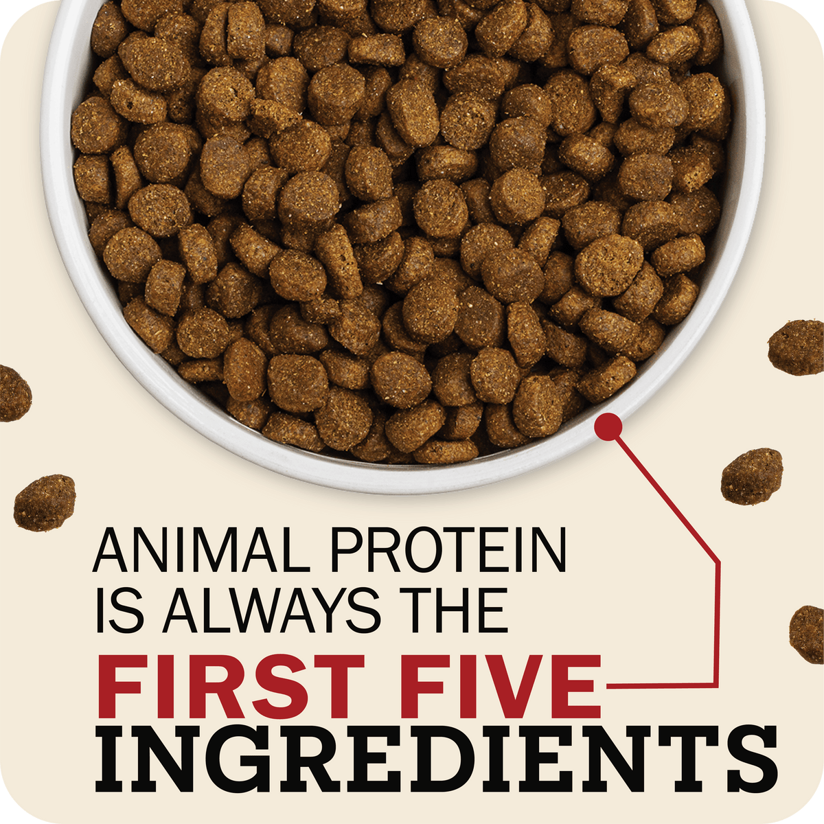 Large Breed Dog Food product image 5