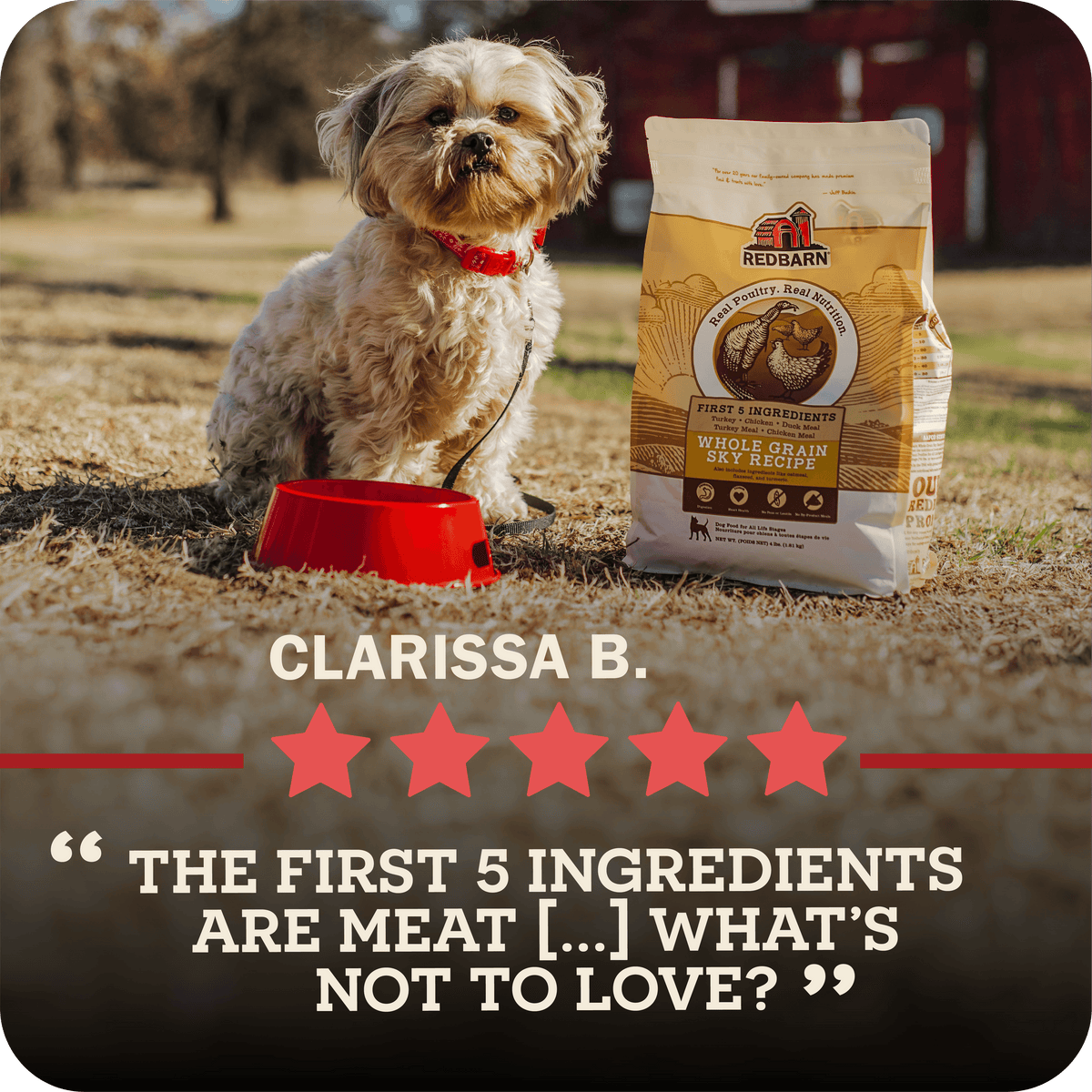 Large Breed Dog Food product image 11