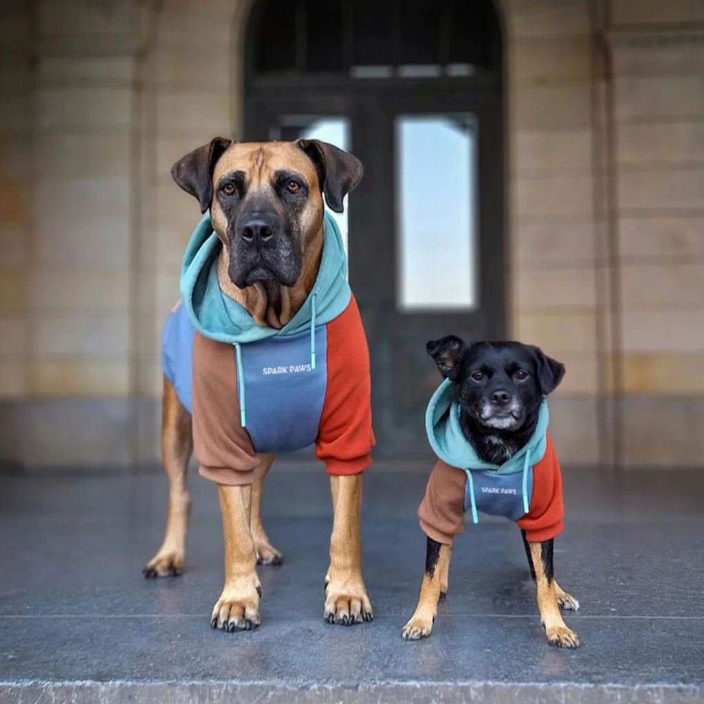 Dog Hoodie product image 13