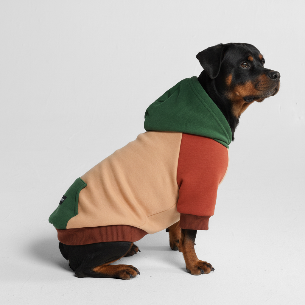 size:5XL