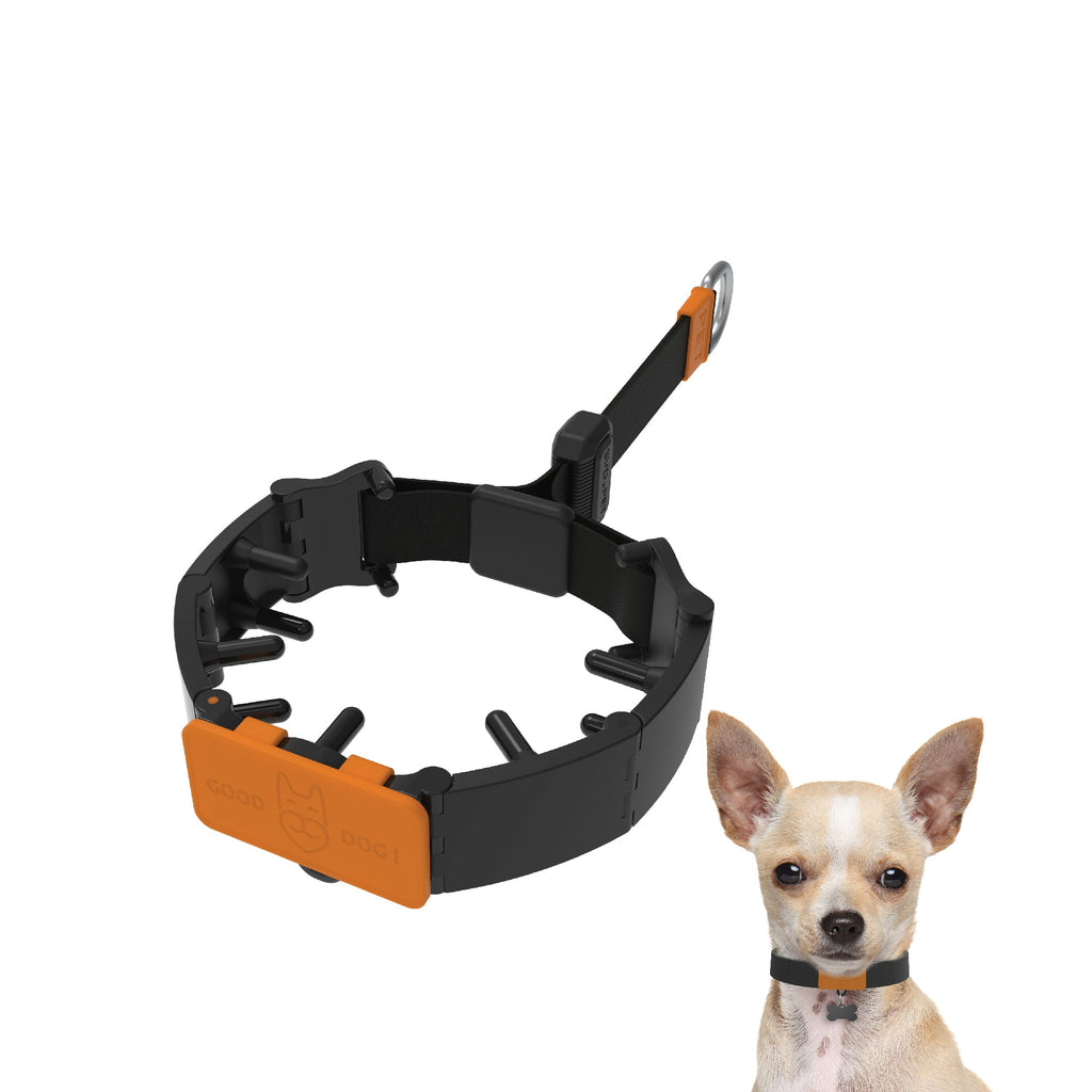 Dog Training Prong Collar product image 3