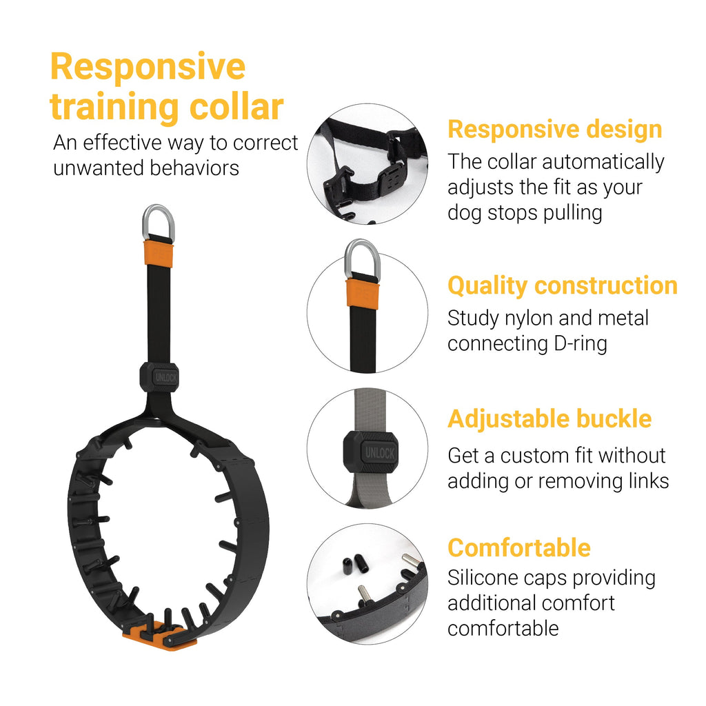 Dog Training Prong Collar product image 4