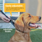Dog Training Prong Collar product image 5