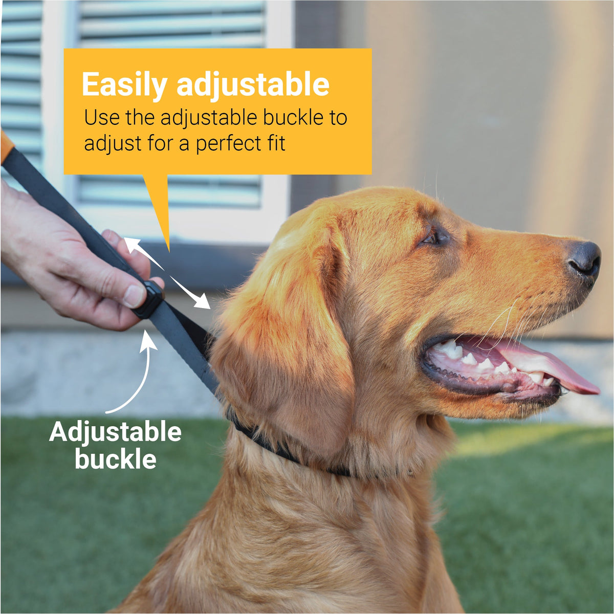 Dog Training Prong Collar product image 5