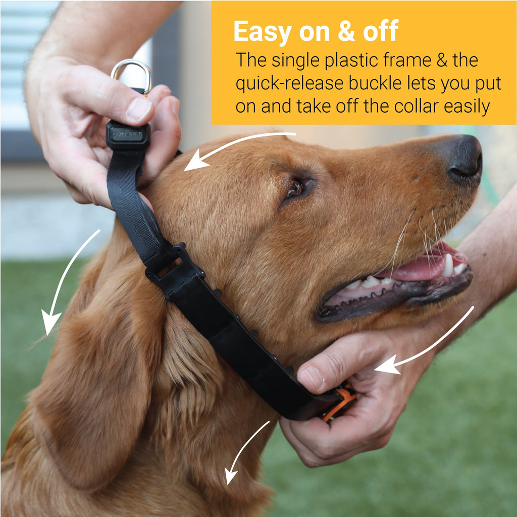 Dog Training Prong Collar product image 6