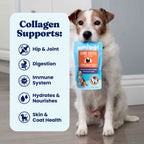 Dog Food Topper product image 5