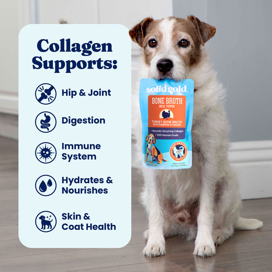 Dog Food Topper product image 5