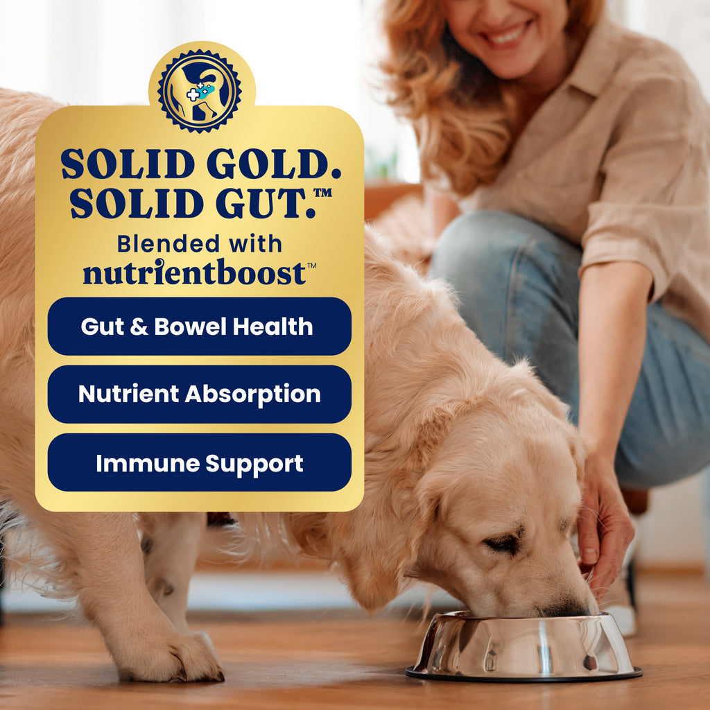 Wet Dog Food product image 6