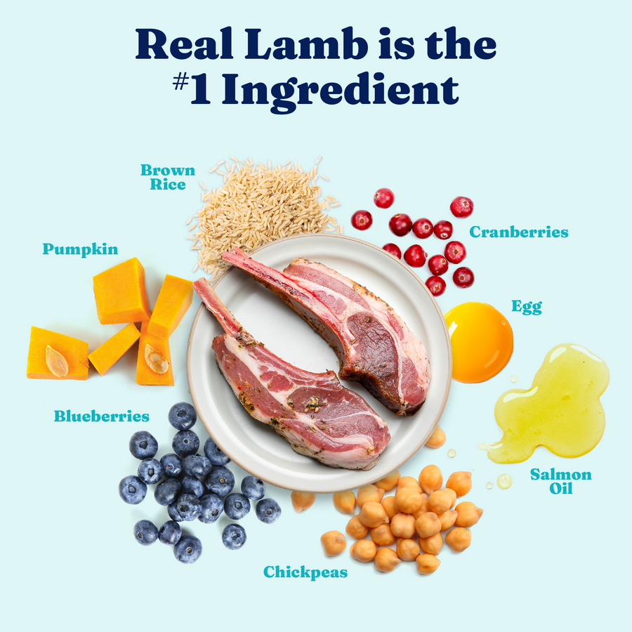 Dry Dog Food product image 3
