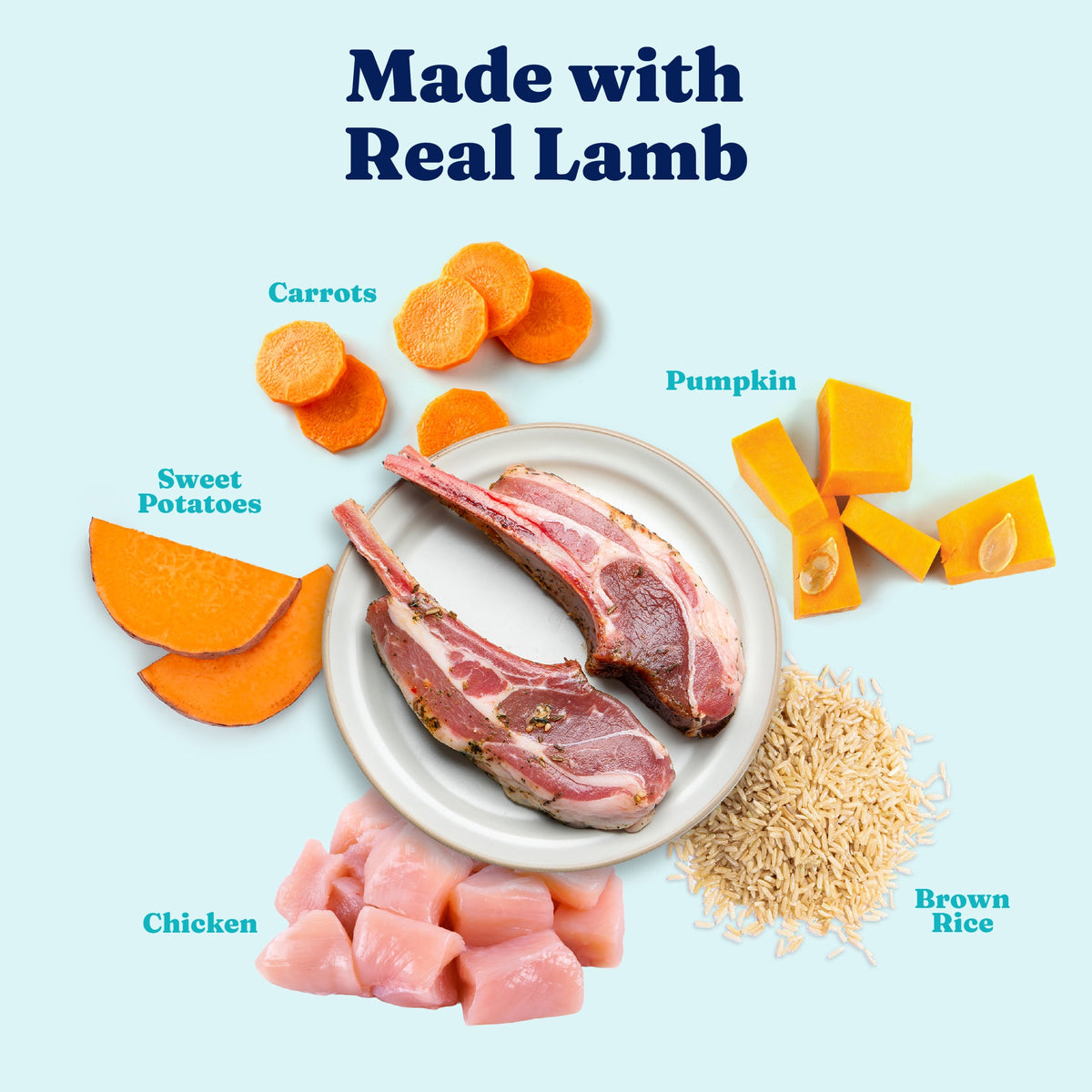 Wet Dog Food product image 4