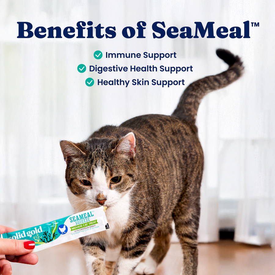 Cat Treats product image 8