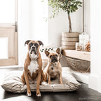 Dog Bed product image 10