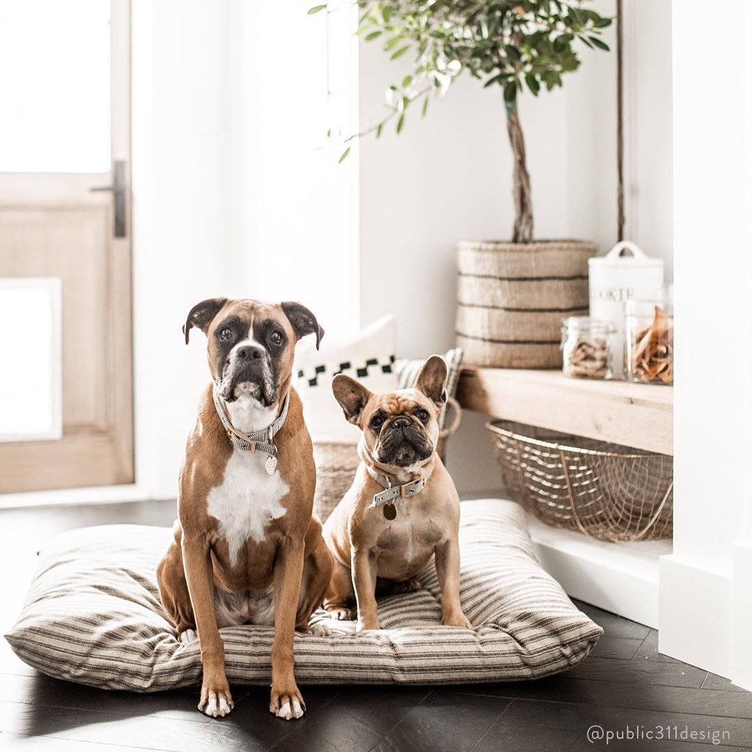 Dog Bed product image 10