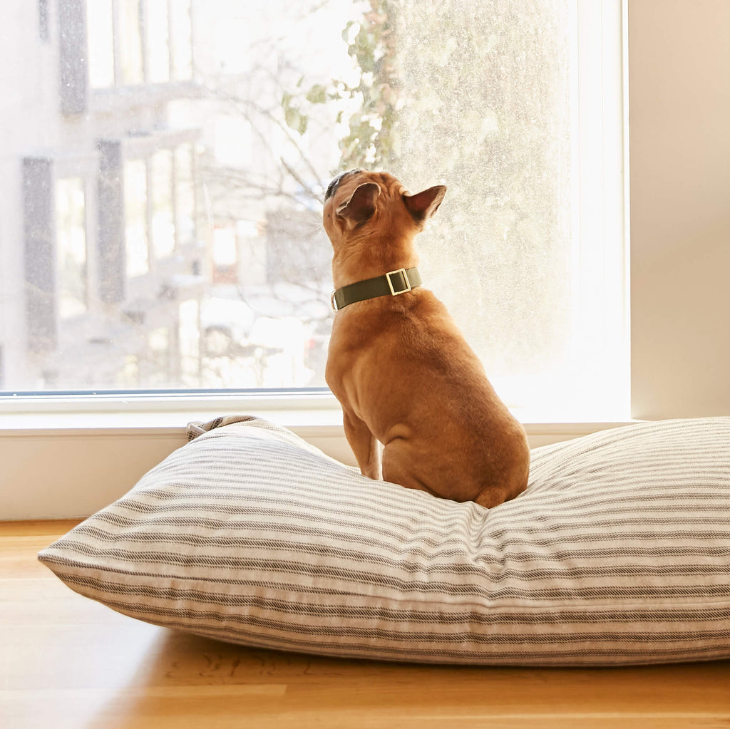 Dog Bed product image 11