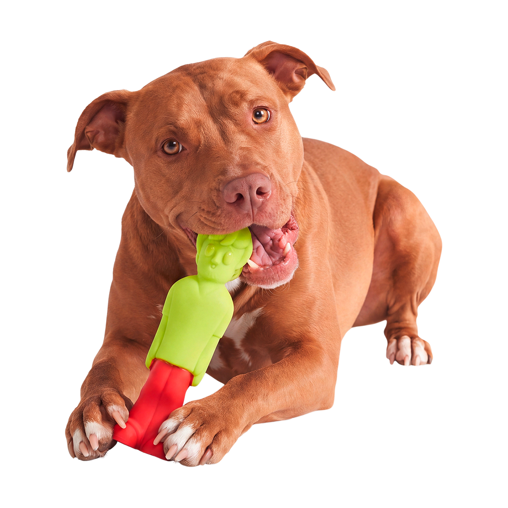 Dog Chew Toy product image 2