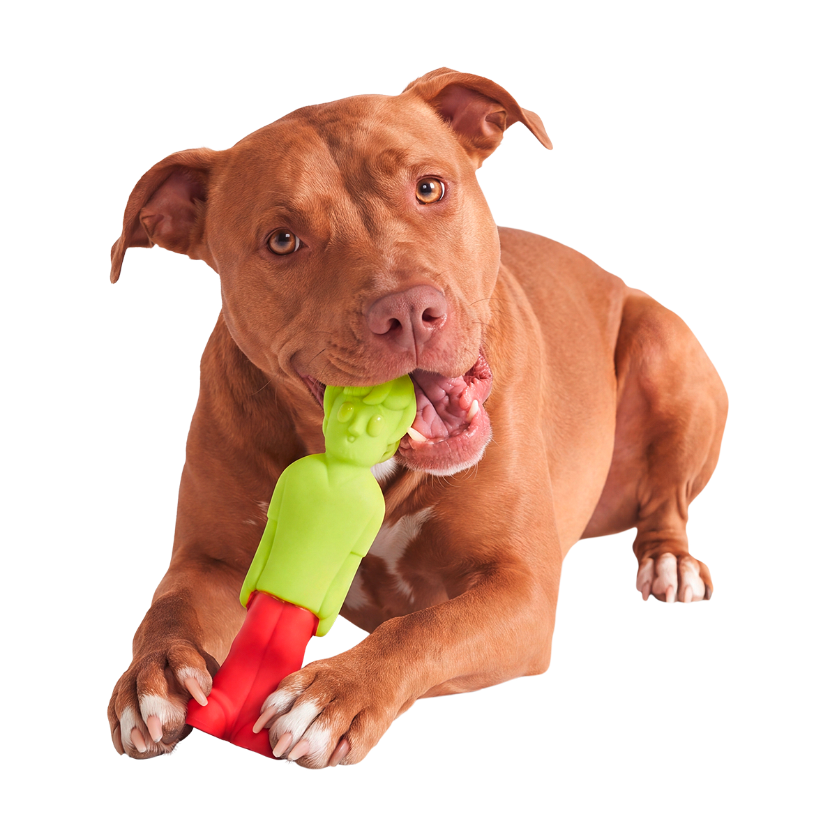 Dog Chew Toy product image 2