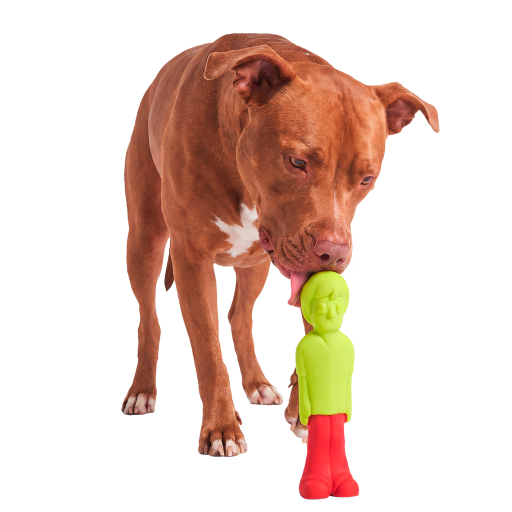 Dog Chew Toy product image 3