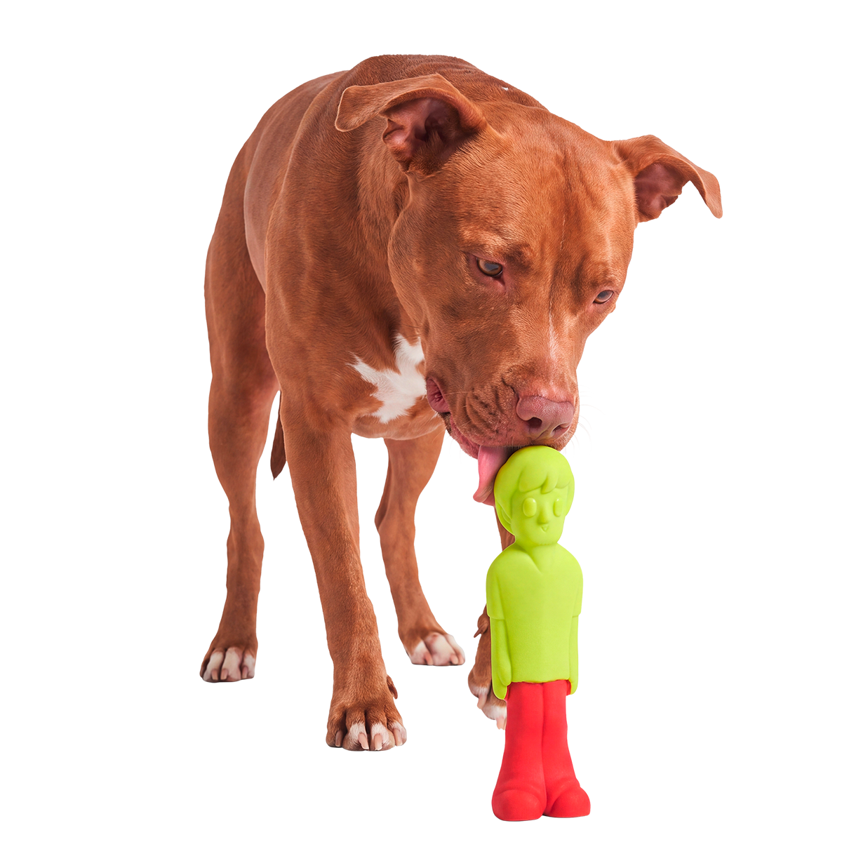 Dog Chew Toy product image 3