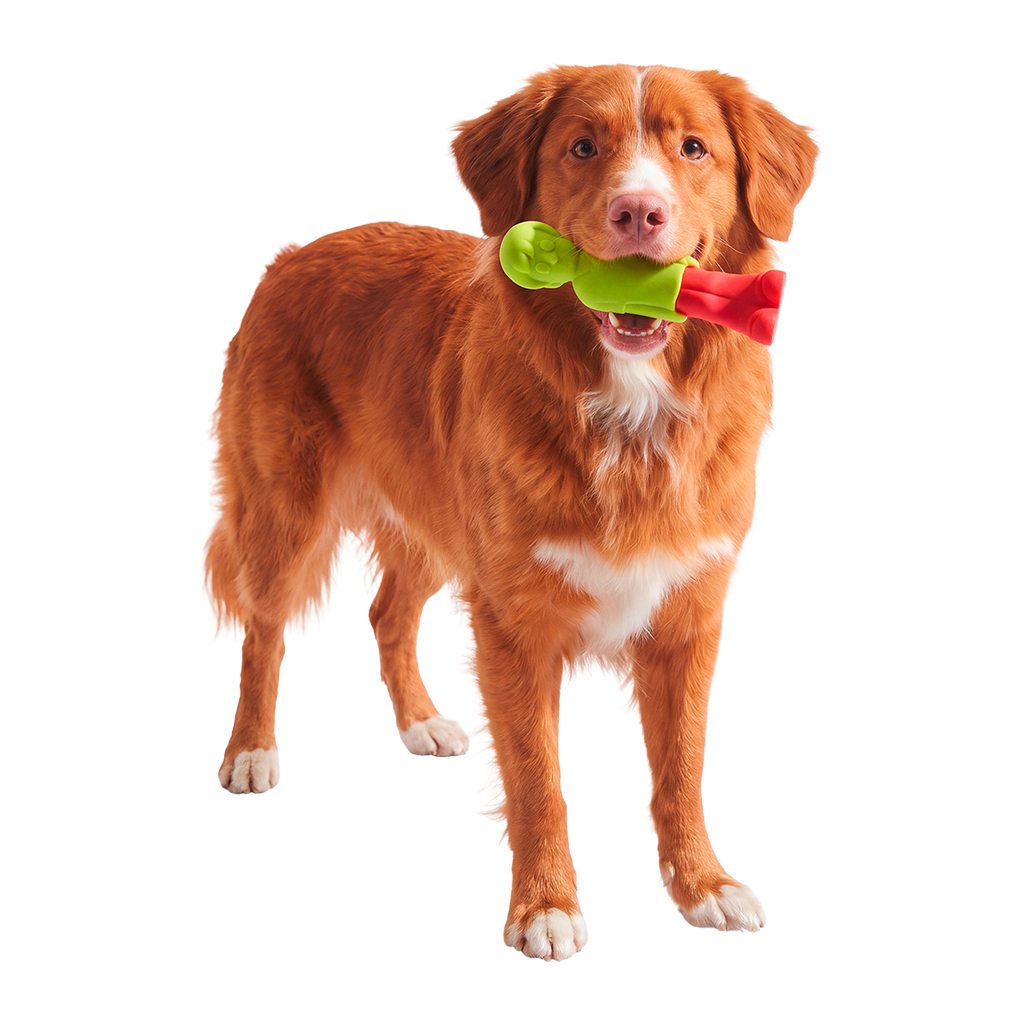 Dog Chew Toy product image 4
