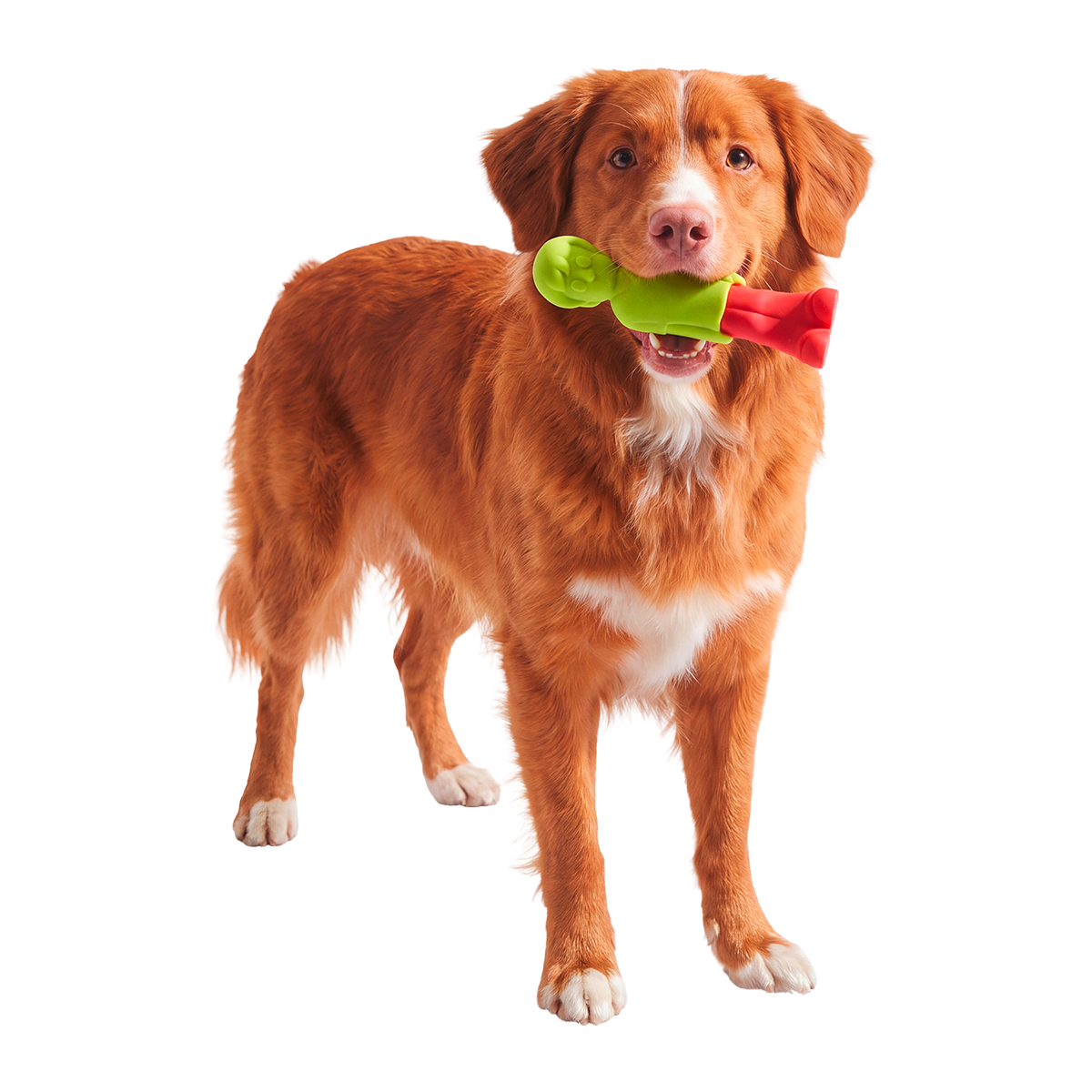 Dog Chew Toy product image 4