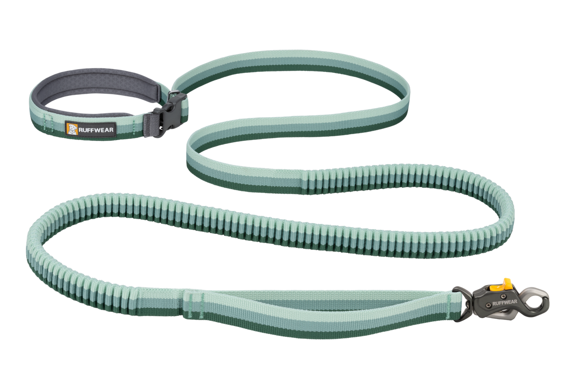 Hands-Free Dog Leash product image 1