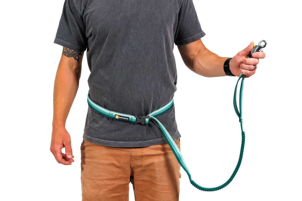 Hands-Free Dog Leash product image 6
