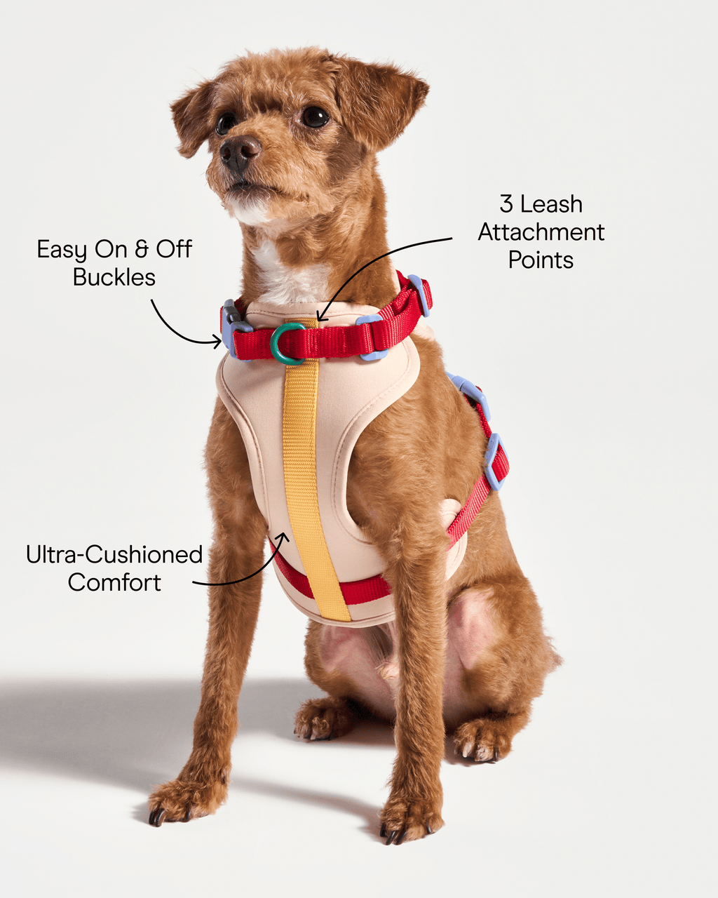 Cushioned No-Pull Dog Harness product image 13
