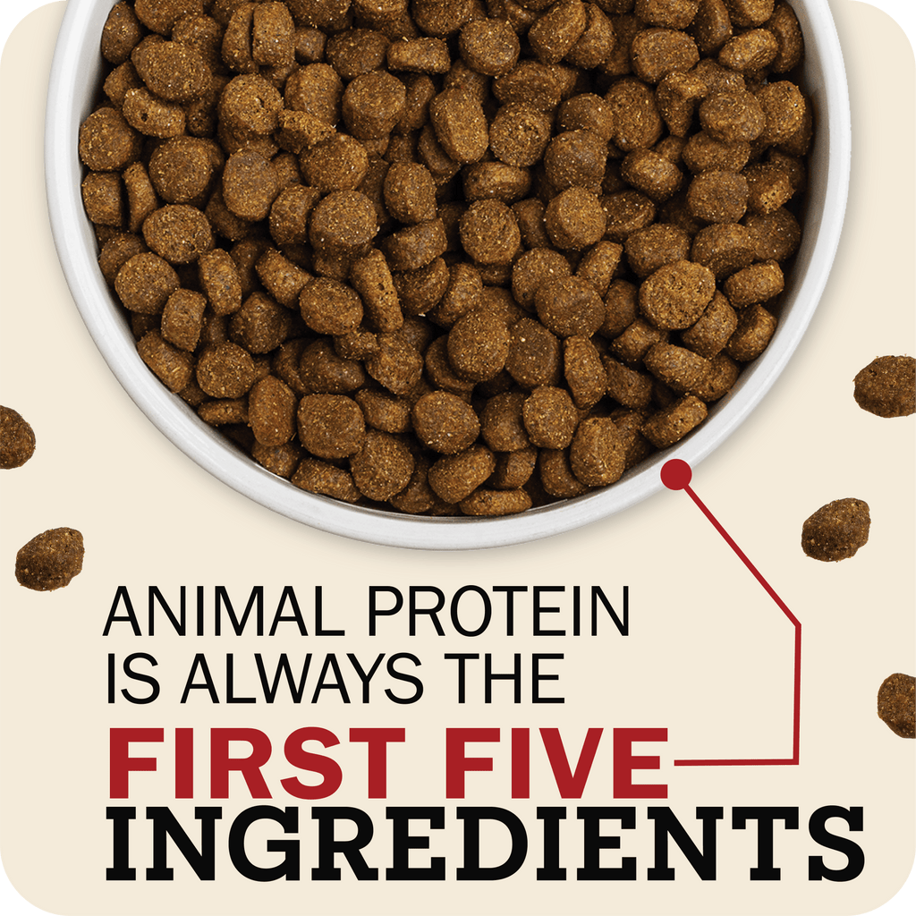 Large Breed Dog Food product image 3