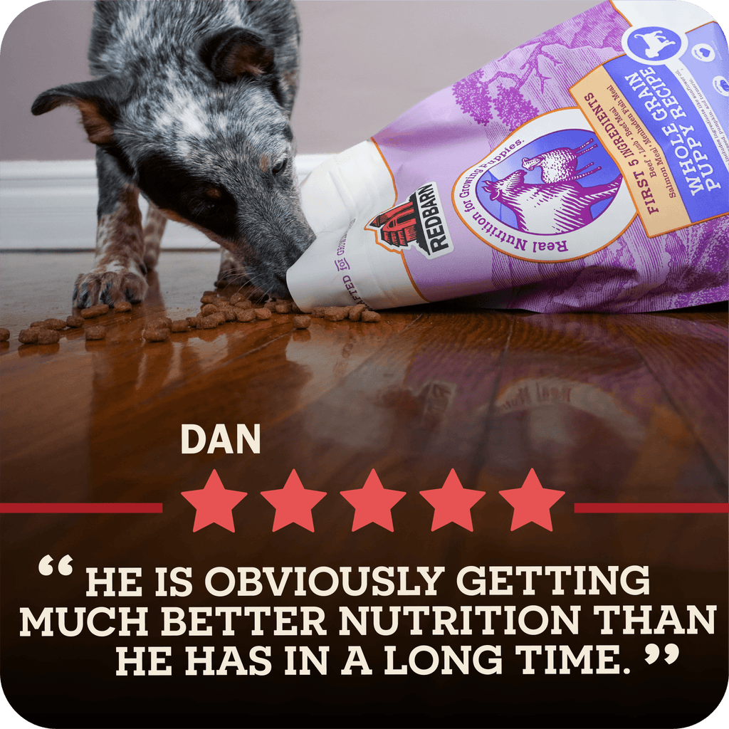 Large Breed Dog Food product image 13