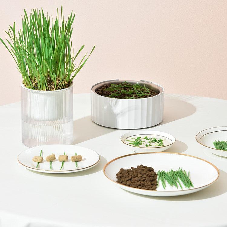 Michu All-in-One Soil-Free Cat Grass Grow Kit - Made In USA product image 6