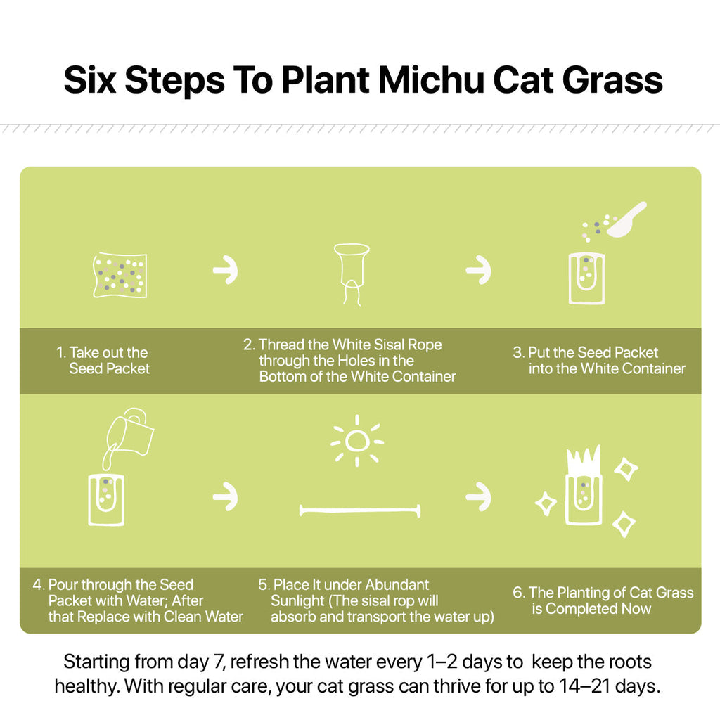 Michu All-in-One Soil-Free Cat Grass Grow Kit - Made In USA product image 8