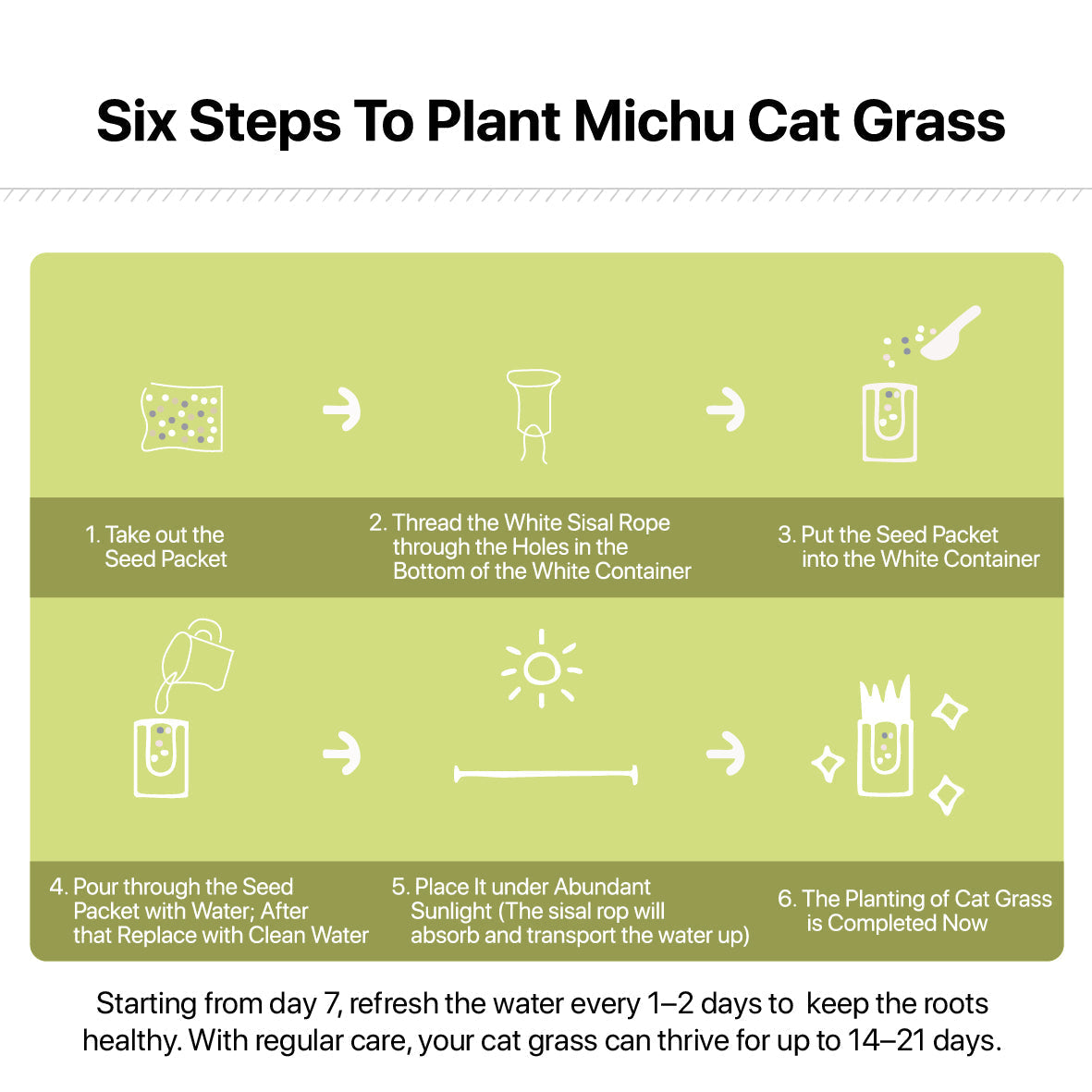 Michu All-in-One Soil-Free Cat Grass Grow Kit - Made In USA product image 8