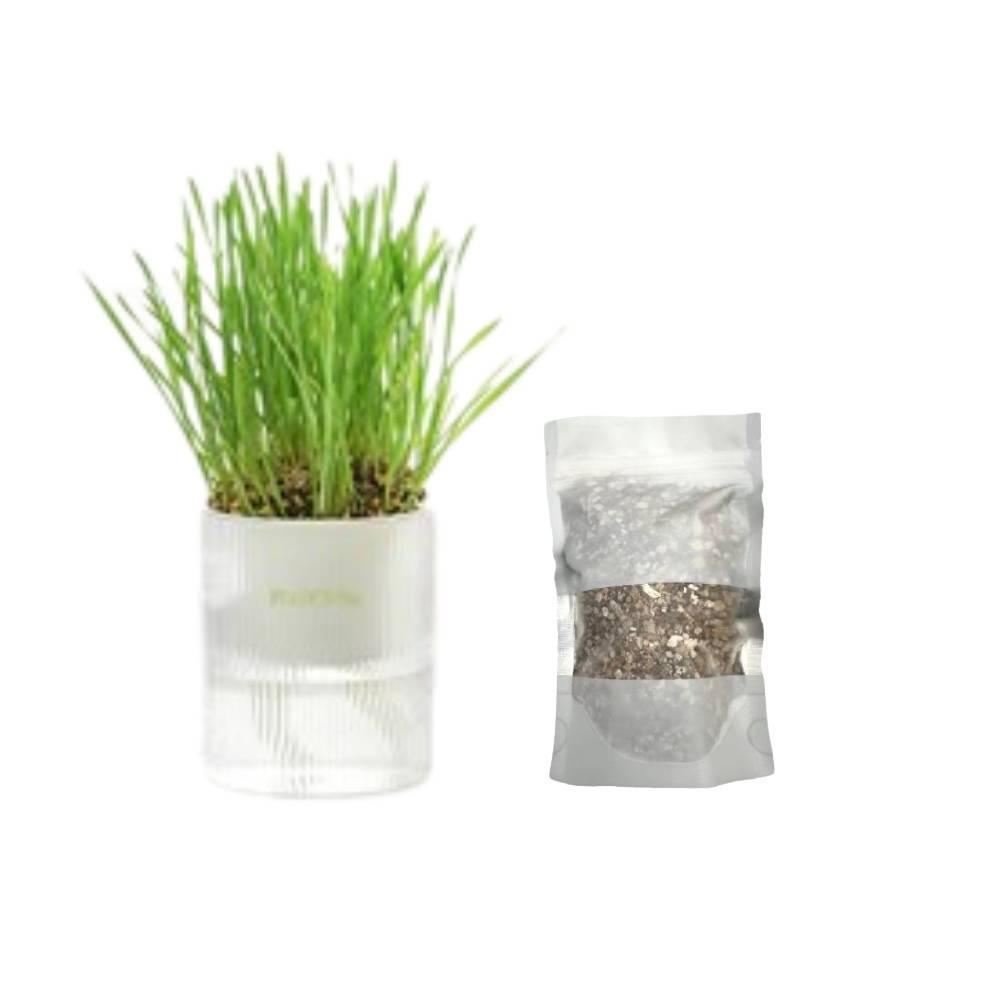Michu All-in-One Soil-Free Cat Grass Grow Kit - Made In USA Cat Grass Grow Kit + Extra Seed Pack