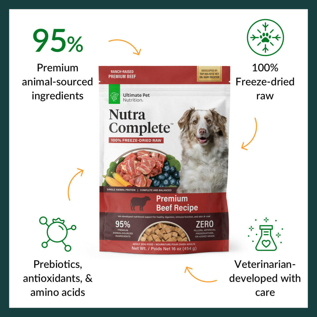 Freeze-Dried Dog Food product image 3