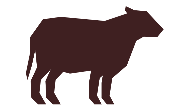 Freeze-Dried Dog Food product image 6