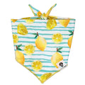 Dog Bandana product image 1