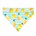 Dog Bandana product image 1