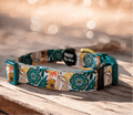 Dog Collar product image 1